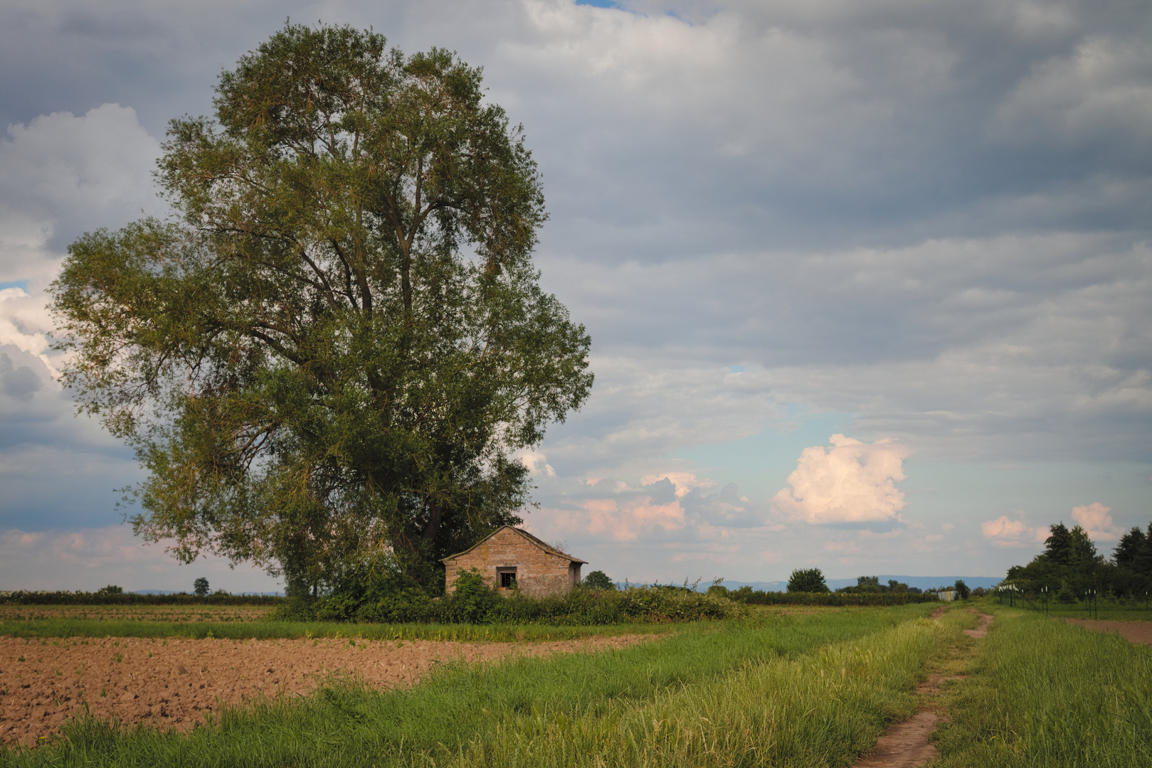 Lost Place - Weinberg bei Bad Dürkheim