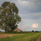 Lost Place - Weinberg bei Bad Dürkheim