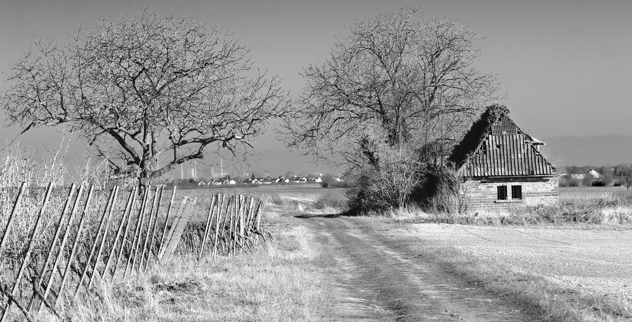 Lost Place - Wineyard