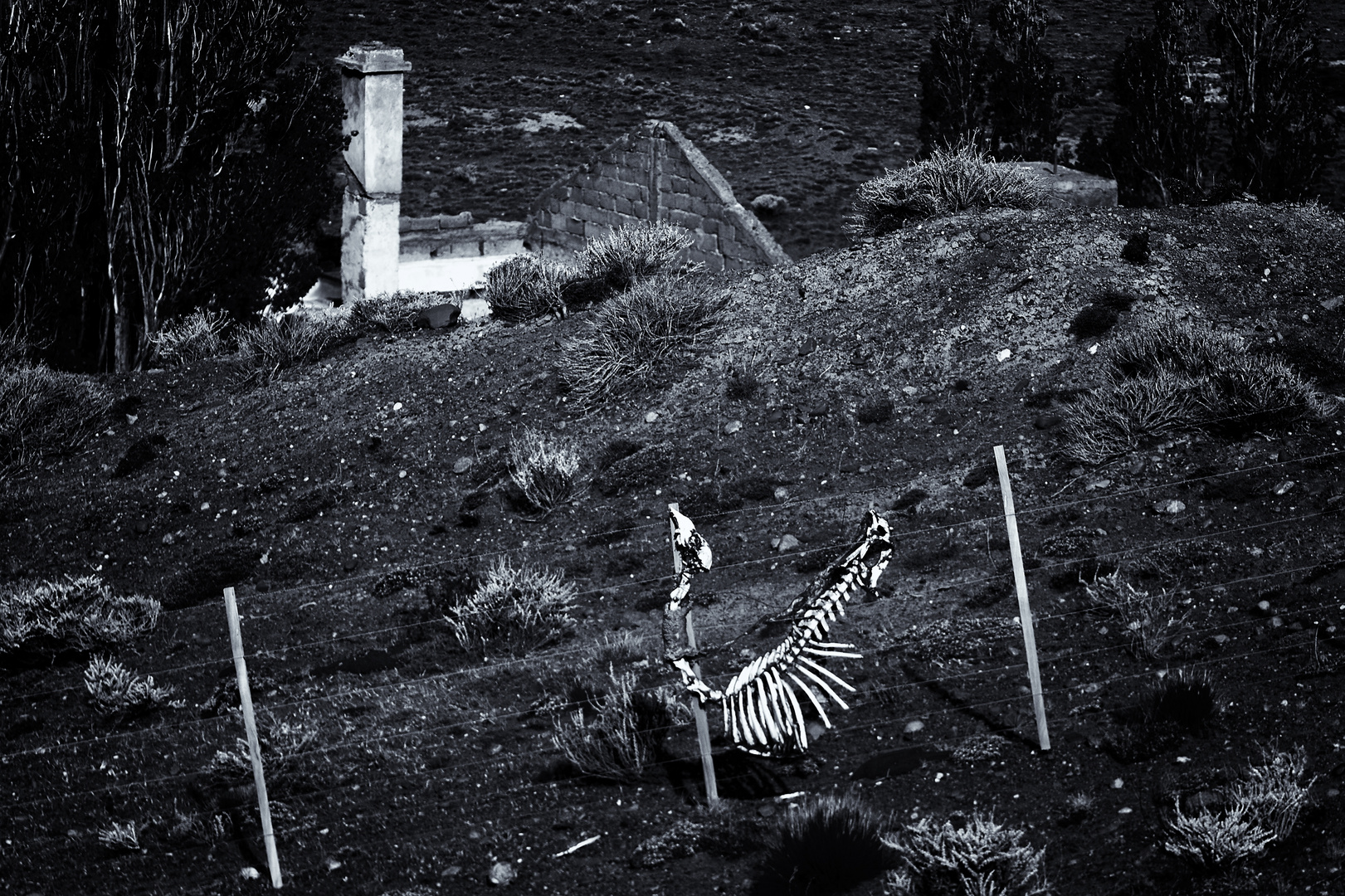 "Lost place with skeleton" - argentinische Impressionen