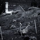 "Lost place with skeleton" - argentinische Impressionen