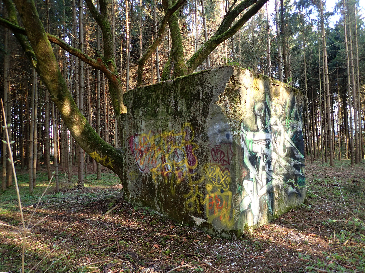 Lost Places - an der Amper bei Emmering - 002