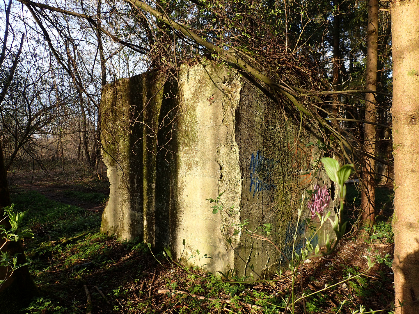 Lost Places - an der Amper bei Emmering - 005