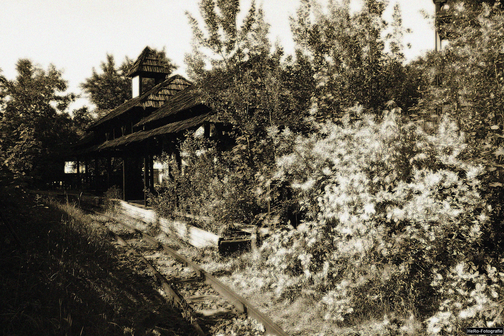 Lost Places - Der Spreepark im Plänterwald No.2