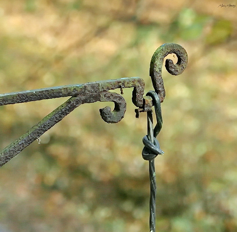 Lost Places - Details der Heilstätten - I