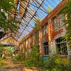 Lost Places - fast wie ein Wintergarten