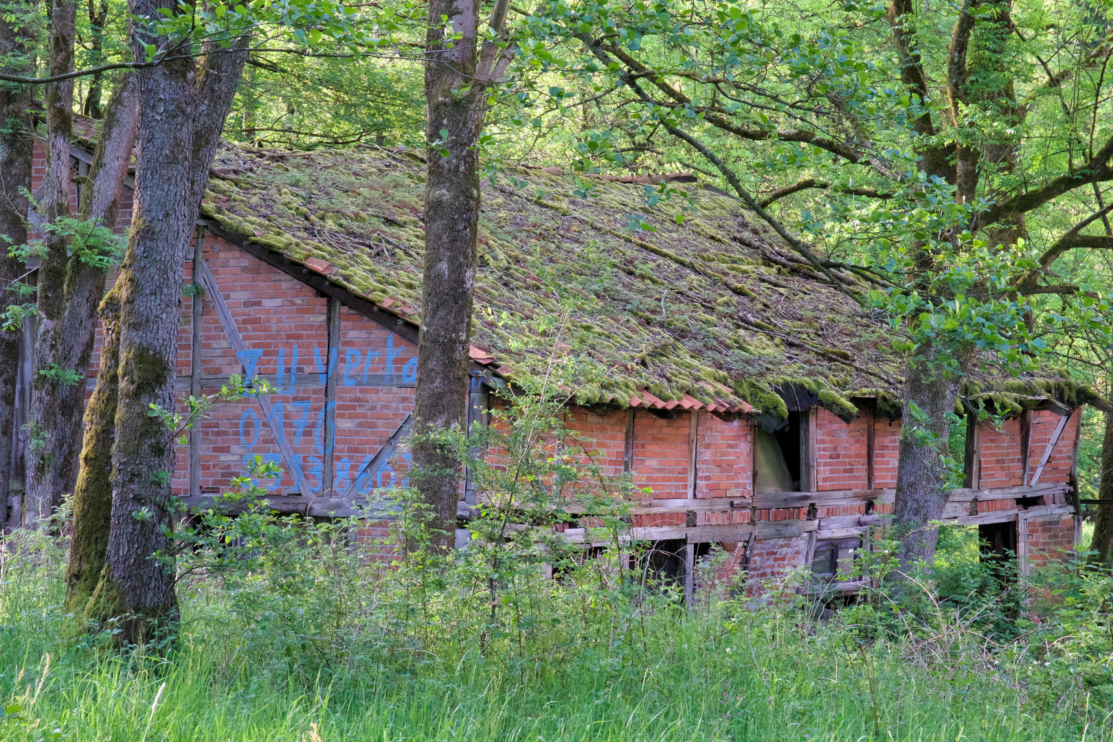 Lost Places im Siebertal