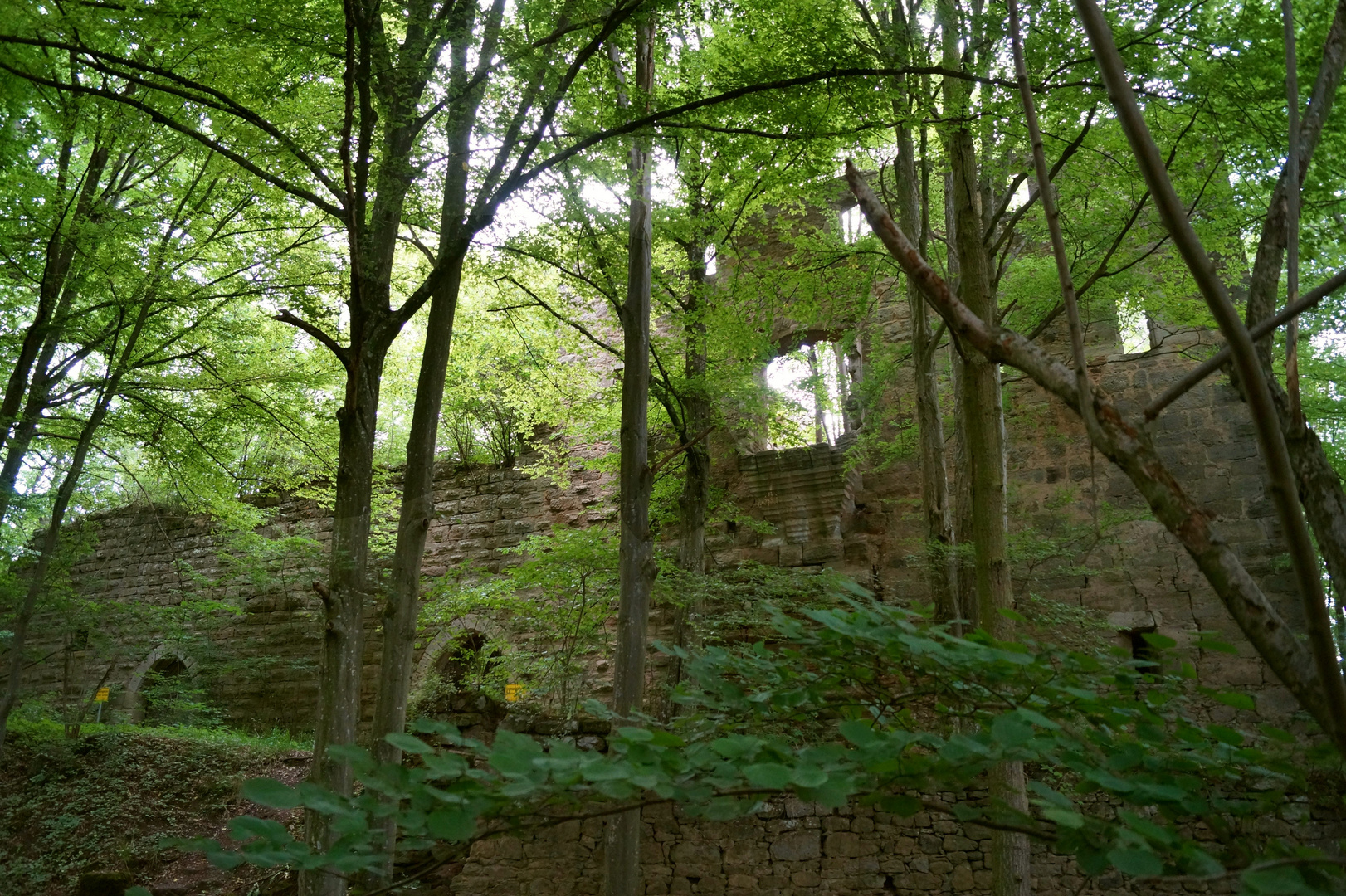 Lost places - Löwenburg 1 