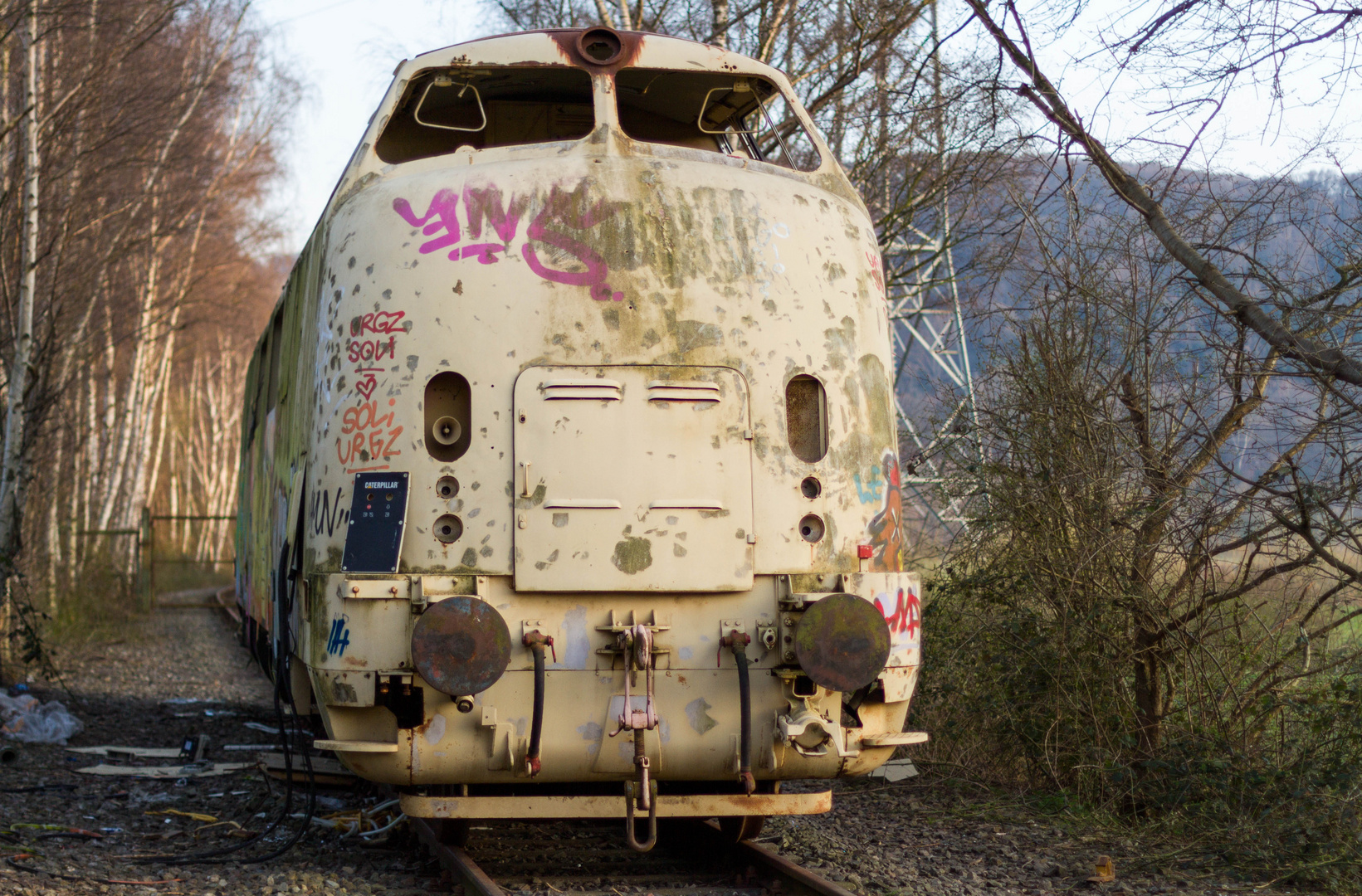 Lost Places Train I