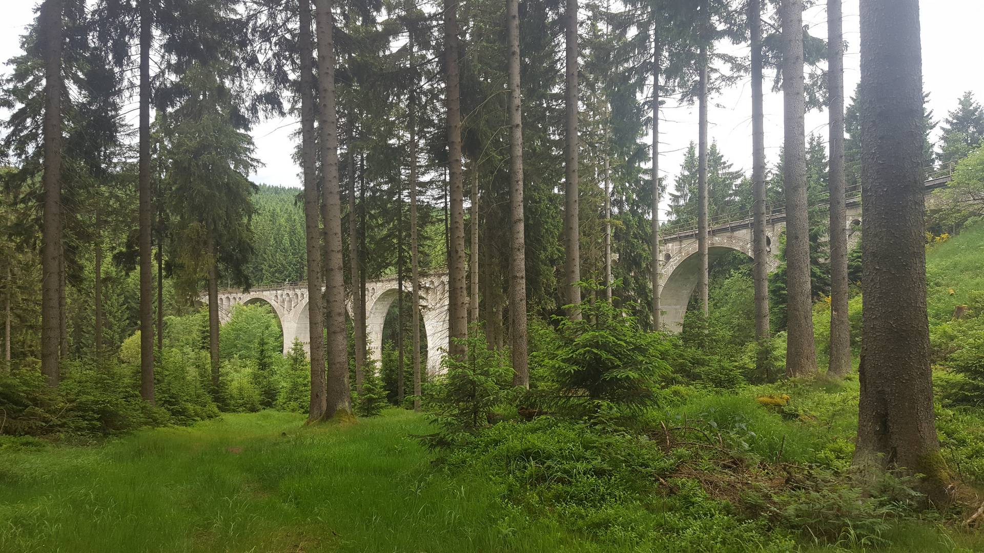 Lost Places - Viadukt/natur