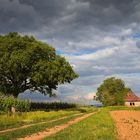 Lost places - Weinberg im Sonnenuntergang