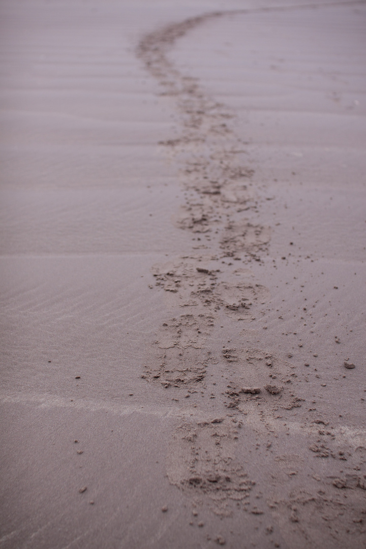 lost traces in the sand