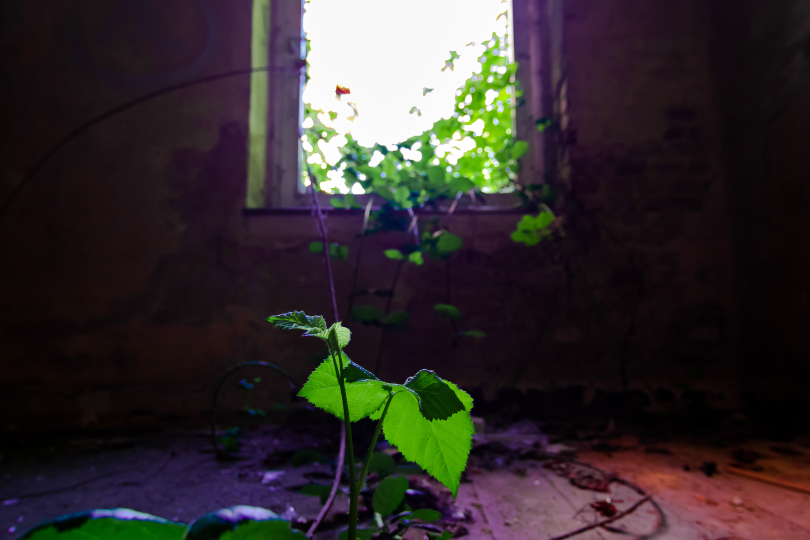 Lostplace 4