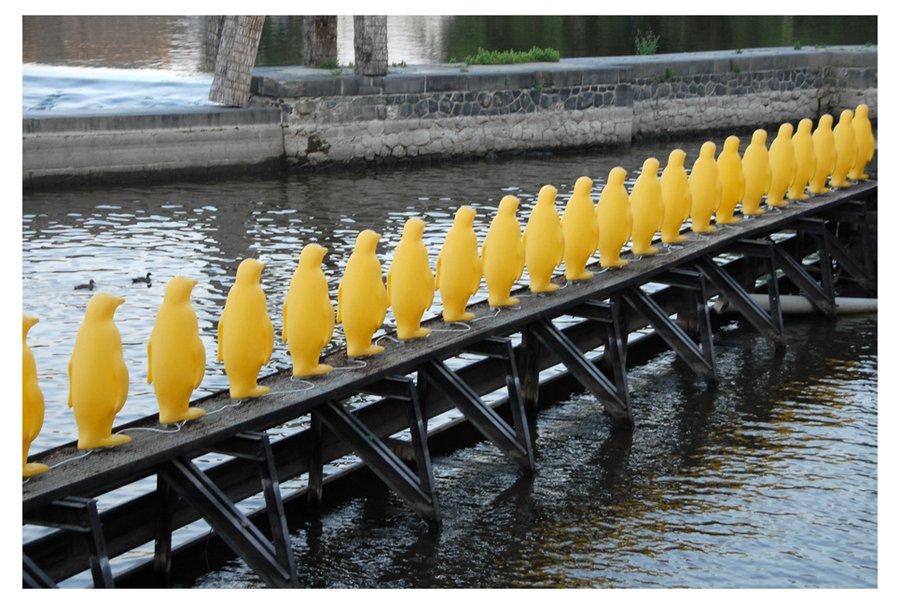Lot of yellow penguins...