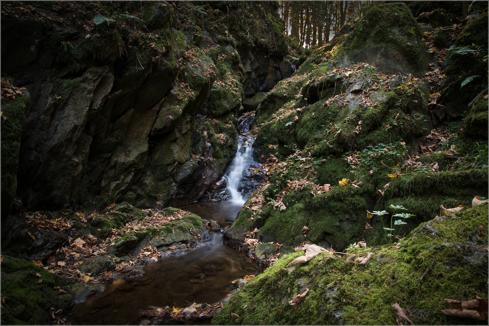 Lotenbach Klamm