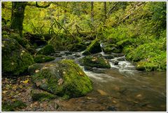 Lotenbachklamm-2024-001