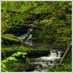 Lotenbachklamm-2024-002