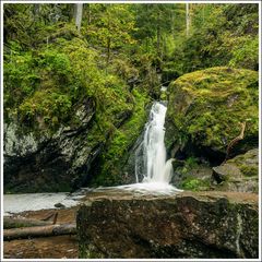 Lotenbachklamm-2024-003