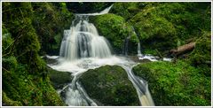 Lotenbachklamm-2024-005