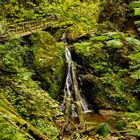 Lotenbachklamm