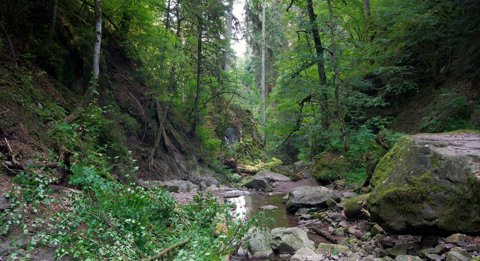 Lotenbachklamm