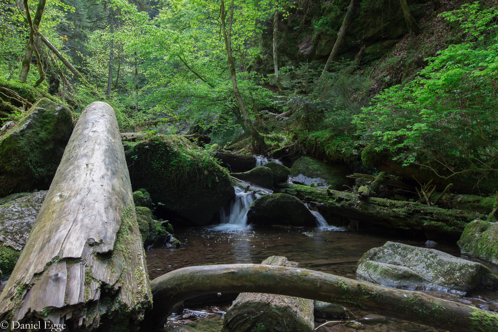 Lotenbachklamm