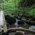 Lotenbachklamm