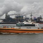 Lotsenboot - Lotse Draco im Hafengebiet von Ijmuiden bei Amsterdam, Holland
