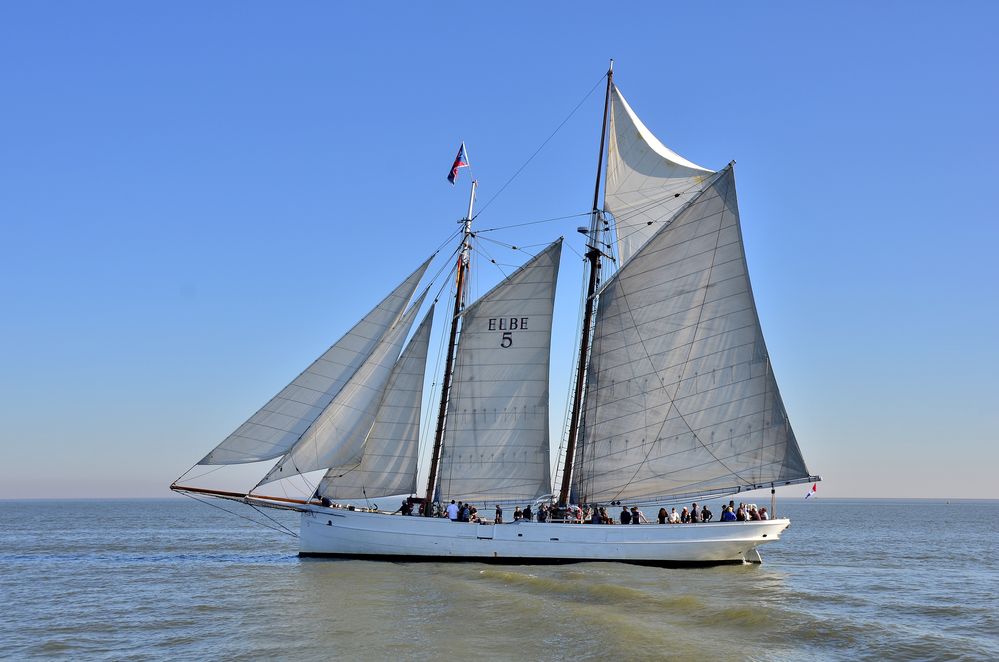 Lotsenschoner Nr. 5 Elbe