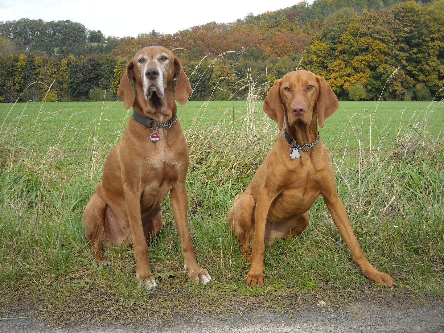 Lotta & Aljoscha 2