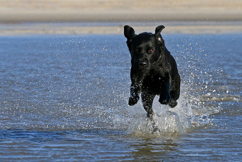 Lotta in St. Peter-Ording