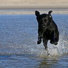 Lotta in St. Peter-Ording