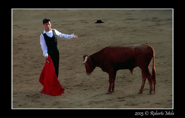 Lottare ... per Morire!