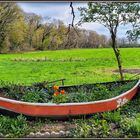 'Lotte'  im Frühjahrs-Trockendock