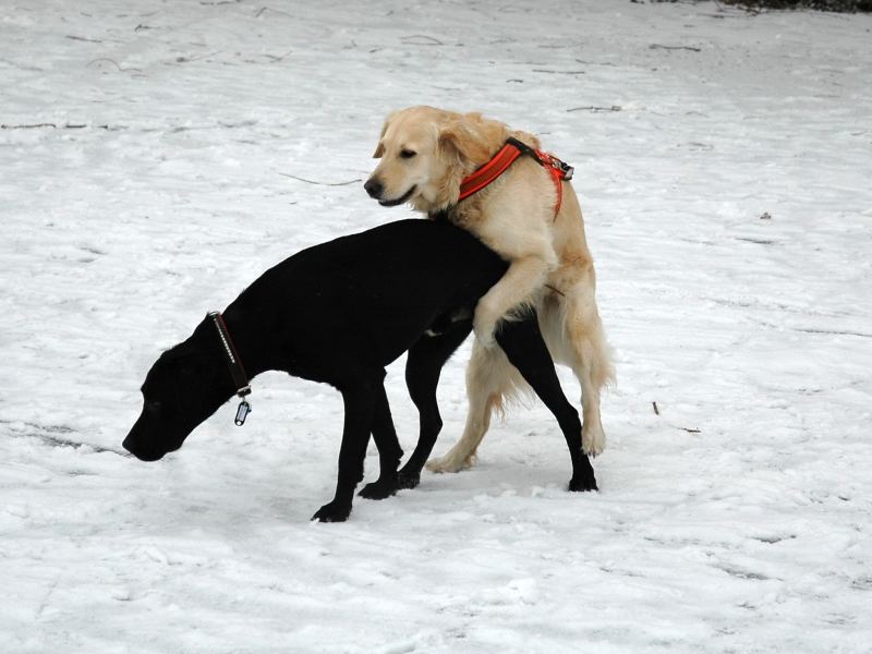 Lotte und Ben beim Spielen