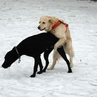 Lotte und Ben beim Spielen