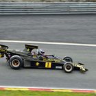  Lotus 76/1 (Ex Ronnie Peterson)