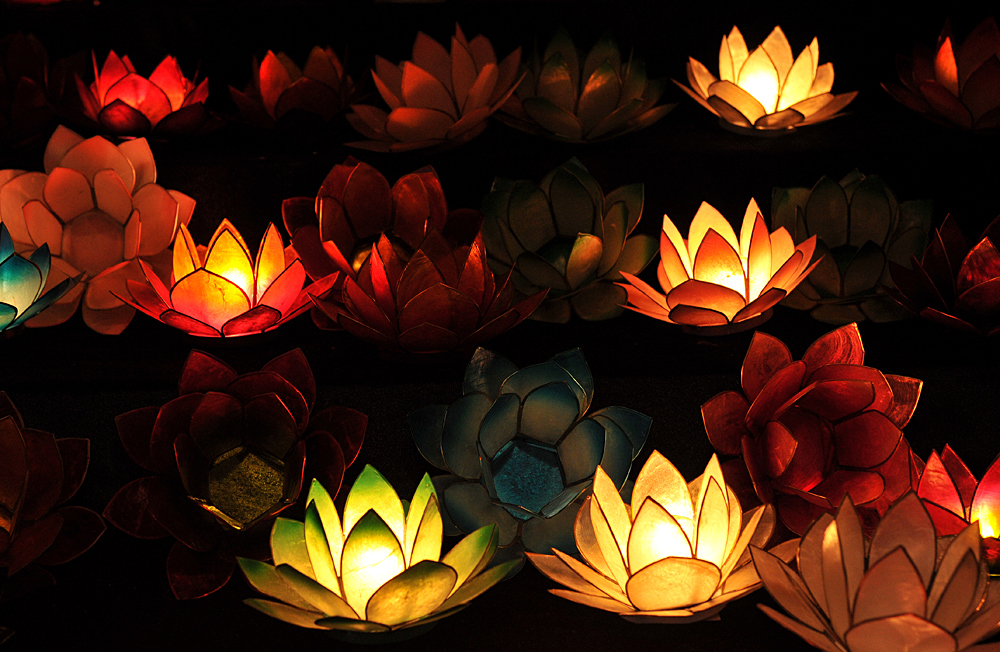 Lotus – Leuchten auf dem Weg ins neue Jahr