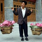 Lotusflower vendor in the streets of Kunming