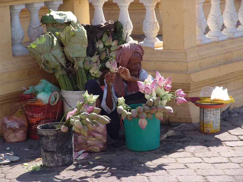 Lotusverkäuferin in Phnom Penh