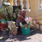 Lotusverkäuferin in Phnom Penh