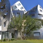 Lou Ruvo Center for Brain Health USA- Las Vegas