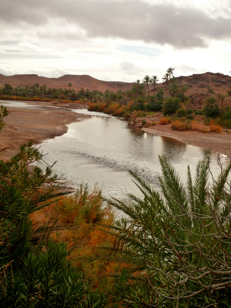 L'Oued et ses délices