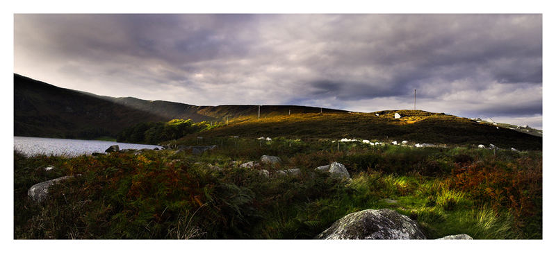 Lough Bray