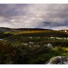 Lough Bray