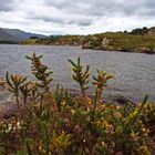 Lough Currane bei Waterville