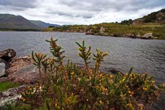 Lough Currane bei Waterville