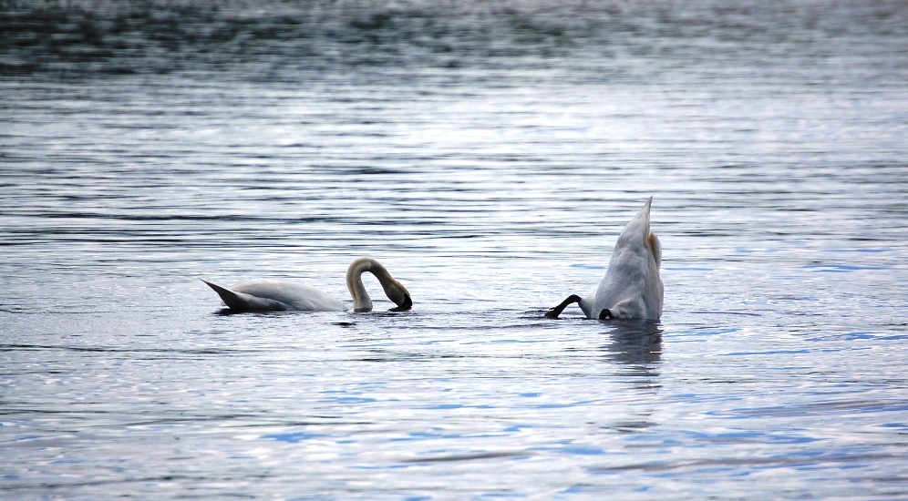 Lough Erne