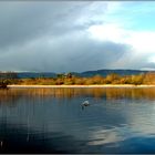 lough gill impressionen