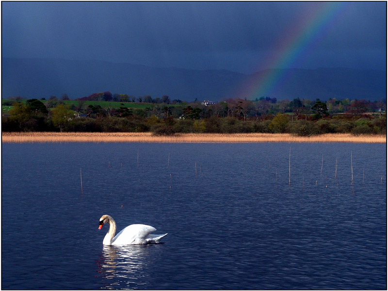 lough gill impressionen V